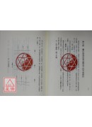 台灣董氏針灸倒馬針刺療法【台灣董氏針灸叢書系列六】