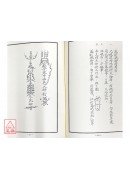 法竅闡微(079)鳳陽府絕學小法度(下)