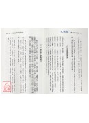 全球首創天地根斗數八字合參正見