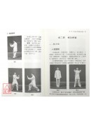 中國太極推手