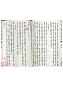 心一拳術