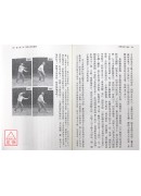 傳統楊家太極拳