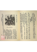 長生食物和藥酒