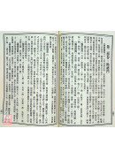 新編辨證奇聞(上下冊)