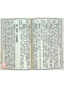新編辨證奇聞(上下冊)