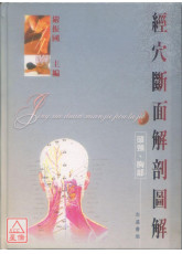 經穴斷面解剖圖解(頭頸胸部)