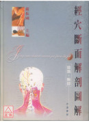 經穴斷面解剖圖解(頭頸胸部)