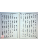 金剛頂一切如來真實攝大乘現證大教王經 C118