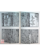 經史證類大觀本草