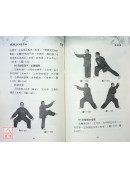山西洪洞通背拳(附DVD) 
