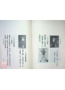 湯氏拳術─外功大洪拳