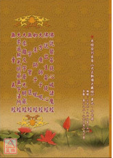 八合刊（佛說發菩提心破諸魔經‧佛說出生菩提心經‧大方廣師子吼經‧如來師子吼經‧無字寶篋經‧大乘離文字普光明藏經‧大乘遍照光明藏無字法門經‧無量義經 C222